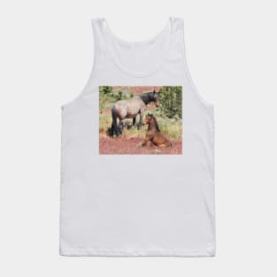 Wild horses, mustangs, wildlife, Precious Moment Tank Top